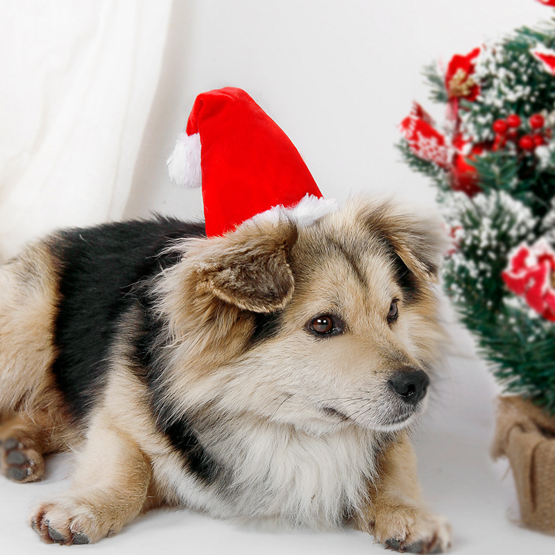 Piros karácsonyi sapka háziállatoknak – aranyos díszítő fejfedő kutyáknak és macskáknak