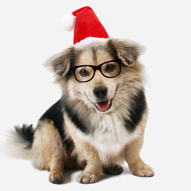 Piros karácsonyi sapka háziállatoknak – aranyos díszítő fejfedő kutyáknak és macskáknak