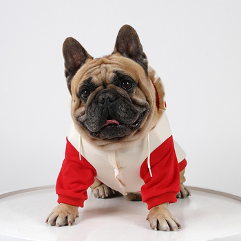 IBeans téli kapucnis hoodie kisállatoknak — laza stílus, pamut, ruházat