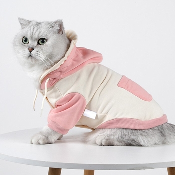 IBeans téli kapucnis hoodie kisállatoknak — laza stílus, pamut, ruházat