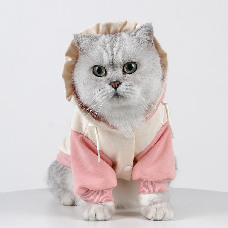 IBeans téli kapucnis hoodie kisállatoknak — laza stílus, pamut, ruházat