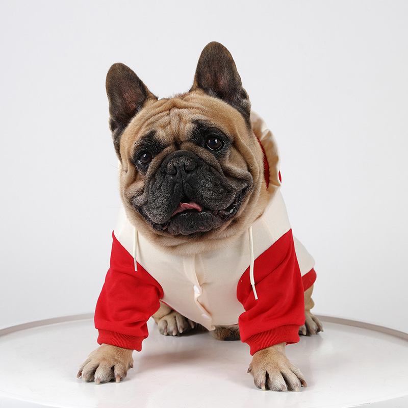 IBeans téli kapucnis hoodie kisállatoknak — laza stílus, pamut, ruházat