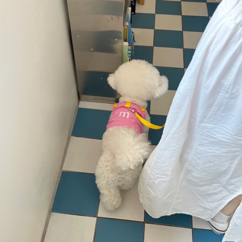 Pamut kutyavest – Japán és Koreai stílus, márka Yixinxi, kisállat ruházat