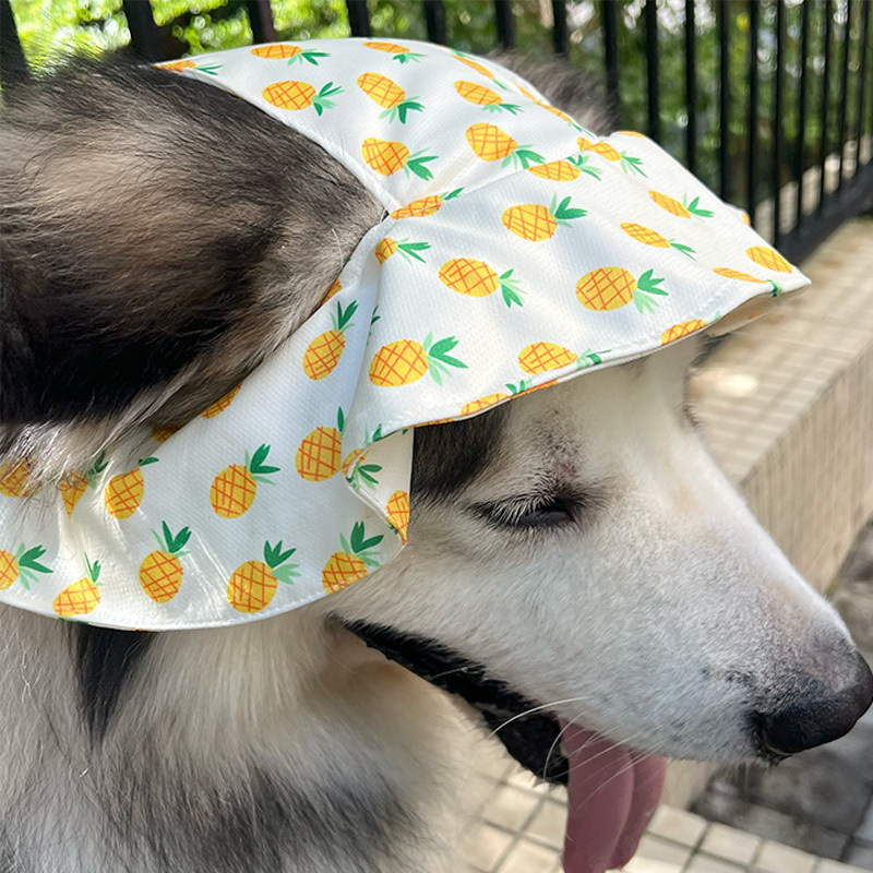 Kutyafejfedő sapka – Alaska Malamute és Samoyed, napvédő és meleg, tavasz-ősz, modern minimalist stílus