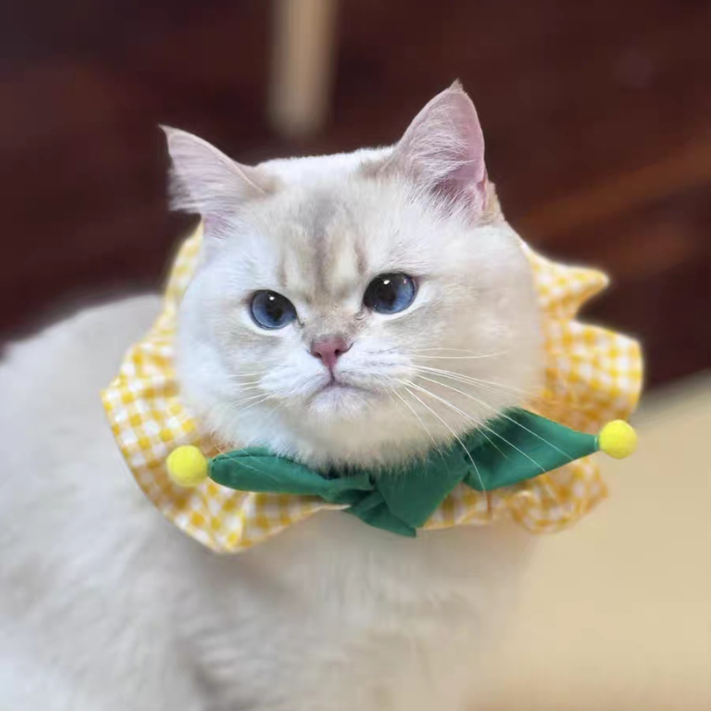 Állatbarát nyakörv és nyakmelegítő kockás masnival, macska- és kutyanyálvédők (Nagy/Közepes/Mikro)