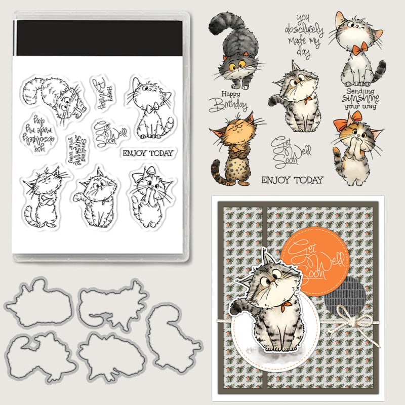 Läbipaistev kassikujuline silt päeviku ja paberi kunsti jaoks - süsinterasest embosseerimismatriits, valatud tootmine, kaasaegne minimalistlik stiil