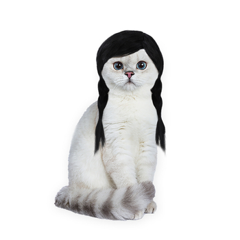 Perika za kućne ljubimce s dvostrukim repom — Liha, visoko‑temperaturna žica, univerzalna prilagodba, casual stil