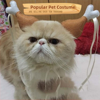 Bentită de păr în formă de picior de pui, din material nețesut – pentru nunți și petreceri, uz general