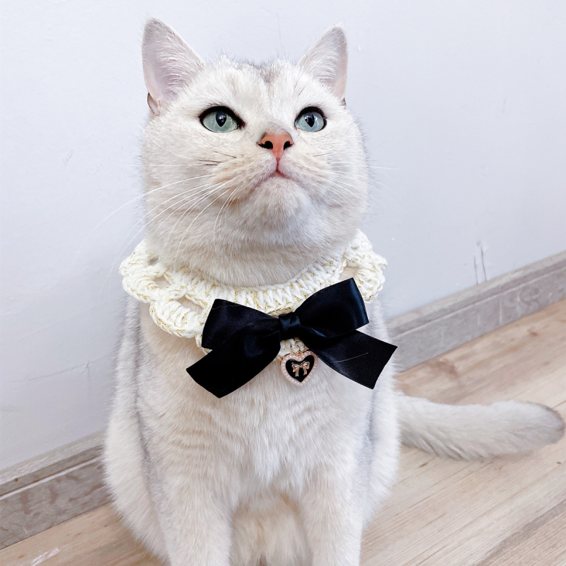 Chanel-stílusú retro állatnyakörv aranyszálas fonallal, masnival és kézzel kötött sállal macskáknak és kiskutyáknak
