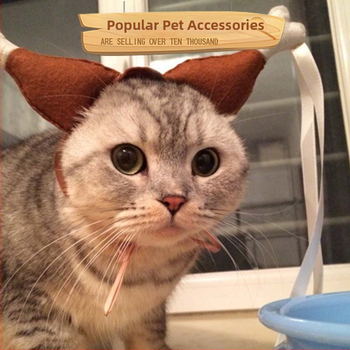 Căpăcel de cap pentru animale de companie în formă de laba de pui - țesătură nețesută, potrivire universală, recuzită amuzantă pentru nunți