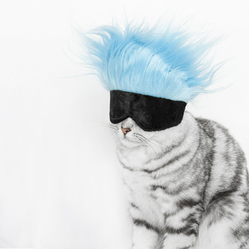 Cosplay kiegészítő kutyáknak és macskáknak: hosszú szőrű paróka sapka, mohair, sima szövés, kézzel festett, Japán és Dél-Koreai stílus