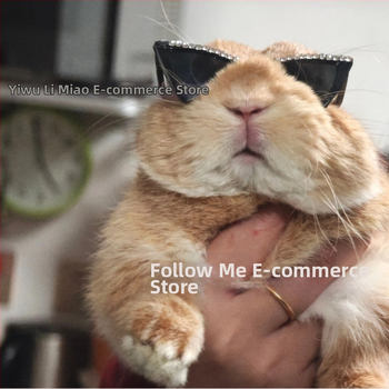 Ochelari pentru animale de companie, cu cristale în stil pisică, hip-hop, din plastic