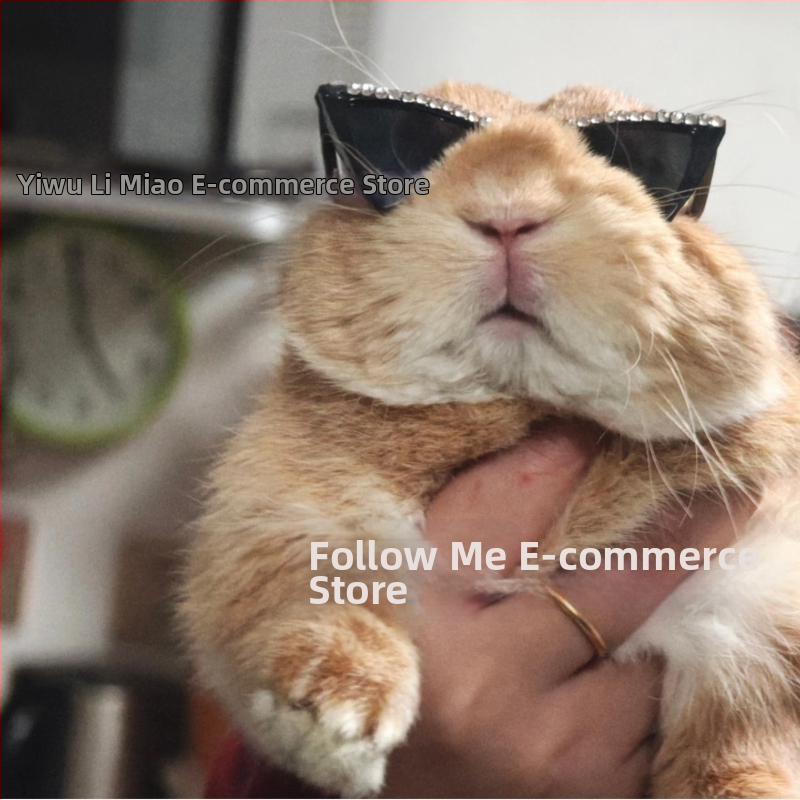 Príslušenstvo pre domáce zvieratá: okuliare s kamienkami v štýle hip-hop, plastový materiál