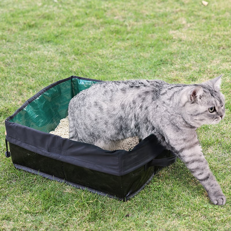 Hordozható, összecsukható, vízálló macskaalomtál PVC anyagból, márka Empress Wang Meow