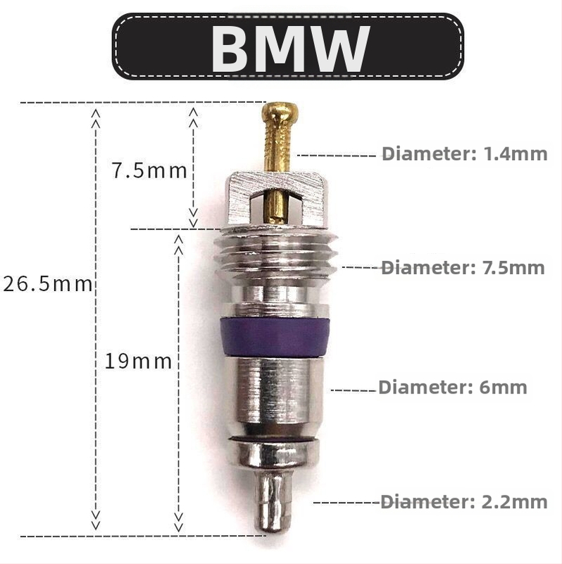Tubeless ventil pre Mercedes-Benz, BMW Sagitar, Magotan a Ford – guma, veľká dutina jadra, francúzsky závit, skrutkovacie uchytenie