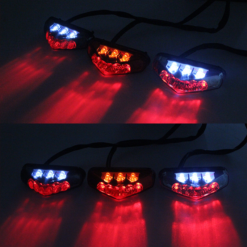LED stražnja svjetla motocikla, model 2041, 12V, ABS+PC
