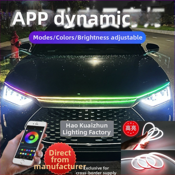 Dekorativna LED svjetla za poklopac automobila s dinamičkom tekućom atmosferom, 12V, IP67, 8W, 3000 lm, LED 2835