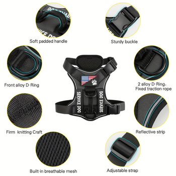 Állítható kutya mellény öv logónyomtatással, távirányítóval, testreszabás elérhető, 260 000 színű kijelző