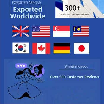 BLUEPRINTDE P10s stylus iPad serijai — atsitiktinio prisilietimo išvengimas, nuolydžio jautrumas, originalus keičiamas antgalis