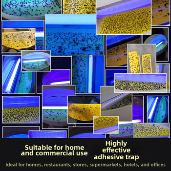 8W леплив инсект ловец за стена, опционално единична/двойна тръба, CE сертифициран, за хотели, ресторанти и супермаркети