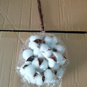 Jiangka Kapok Buchet cu Flori Uscate – Flori uscate pentru decor acasă, nunți și ședințe foto