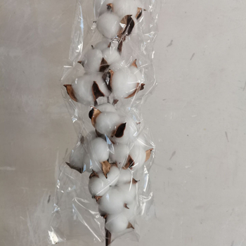 Jiangka Kapok Buchet cu Flori Uscate – Flori uscate pentru decor acasă, nunți și ședințe foto