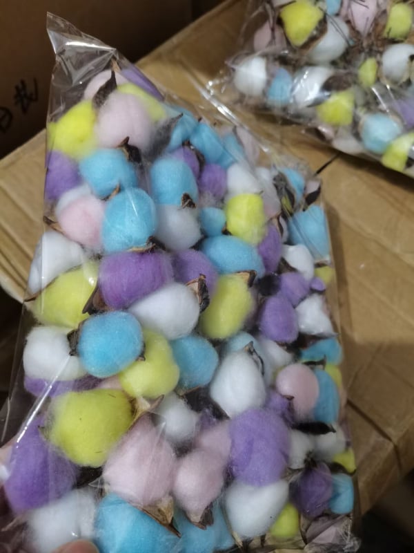 Jiangka Kapok Buchet cu Flori Uscate – Flori uscate pentru decor acasă, nunți și ședințe foto