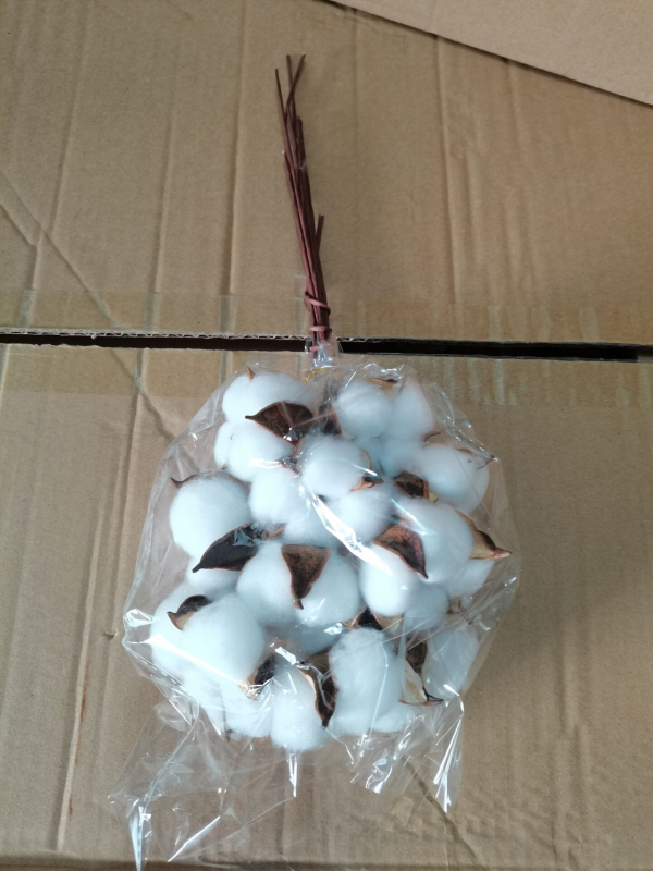 Jiangka Kapok Buchet cu Flori Uscate – Flori uscate pentru decor acasă, nunți și ședințe foto