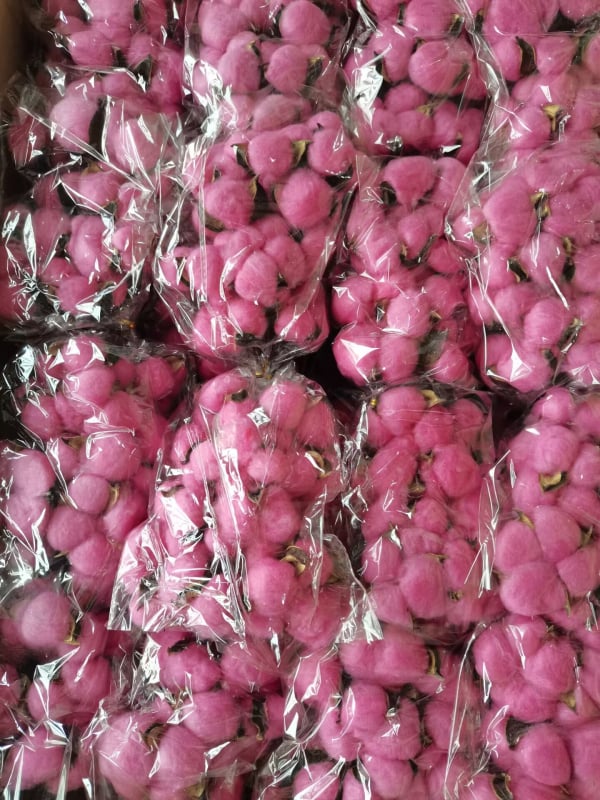 Jiangka Kapok Buchet cu Flori Uscate – Flori uscate pentru decor acasă, nunți și ședințe foto