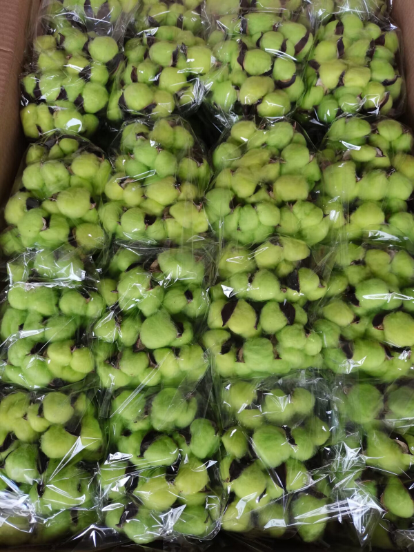 Jiangka Kapok Buchet cu Flori Uscate – Flori uscate pentru decor acasă, nunți și ședințe foto