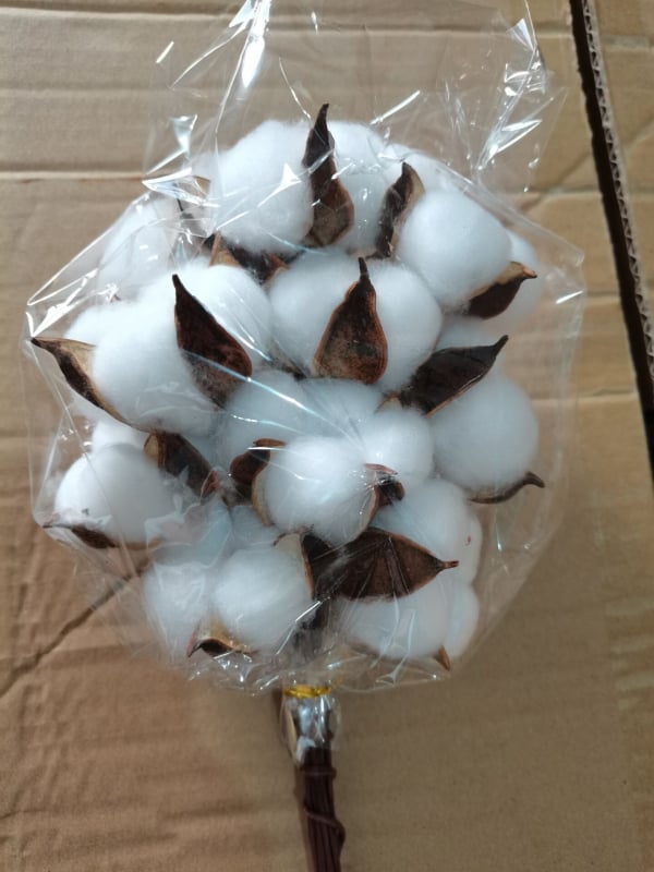 Jiangka Kapok Buchet cu Flori Uscate – Flori uscate pentru decor acasă, nunți și ședințe foto