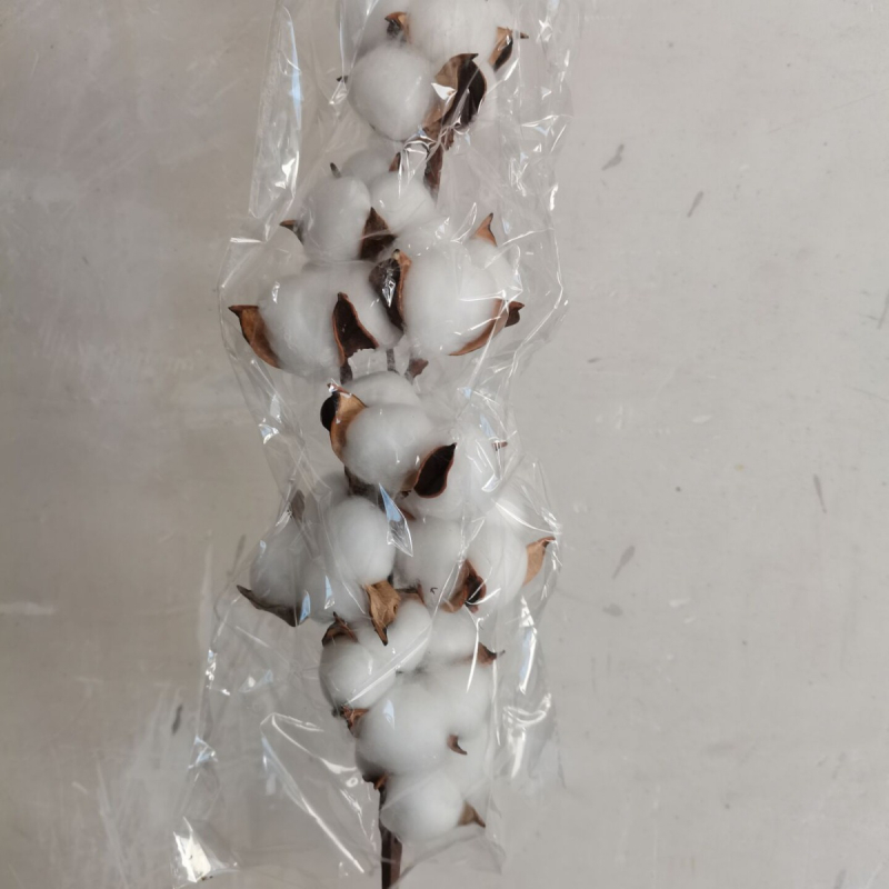 Jiangka Kapok Buchet cu Flori Uscate – Flori uscate pentru decor acasă, nunți și ședințe foto