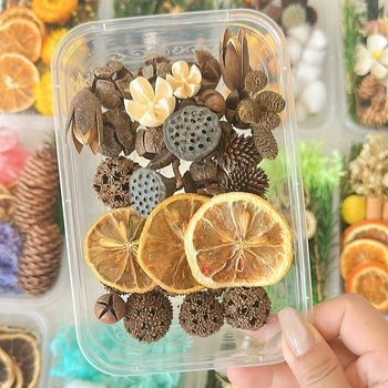 Kit materiale DIY: flori uscate, plante naturale, scorțișoară, decorațiuni lucrate manual