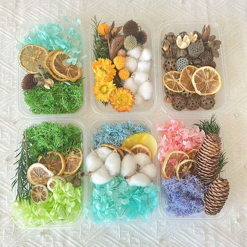 Kit materiale DIY: flori uscate, plante naturale, scorțișoară, decorațiuni lucrate manual