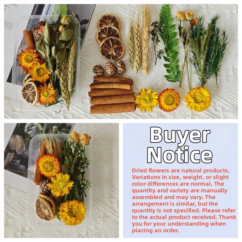 Kit materiale DIY: flori uscate, plante naturale, scorțișoară, decorațiuni lucrate manual