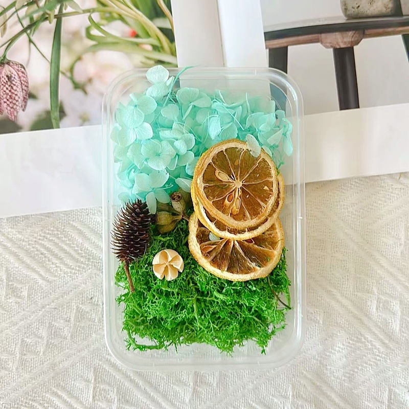 Kit materiale DIY: flori uscate, plante naturale, scorțișoară, decorațiuni lucrate manual