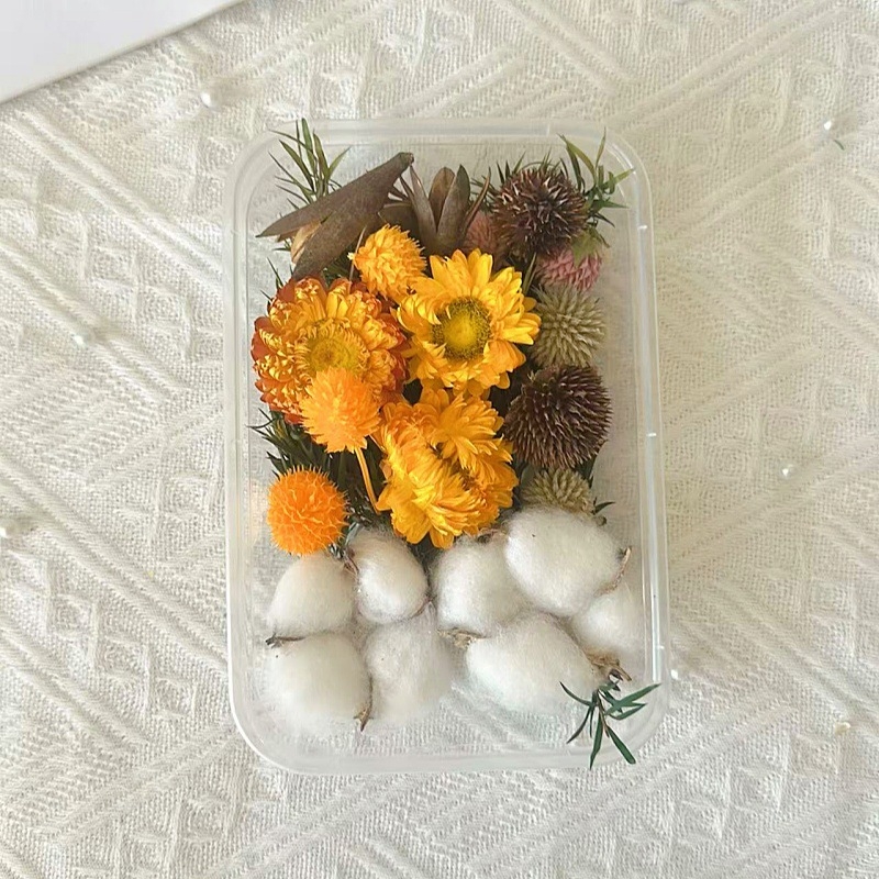 Kit materiale DIY: flori uscate, plante naturale, scorțișoară, decorațiuni lucrate manual