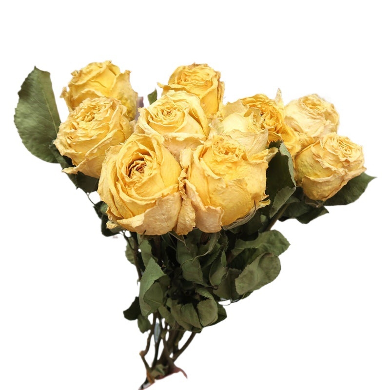 Buchet cu ramuri uscate de trandafiri pentru decor de perete, necolorat