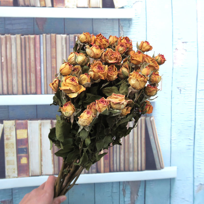 Buchet cu ramuri uscate de trandafiri pentru decor de perete, necolorat