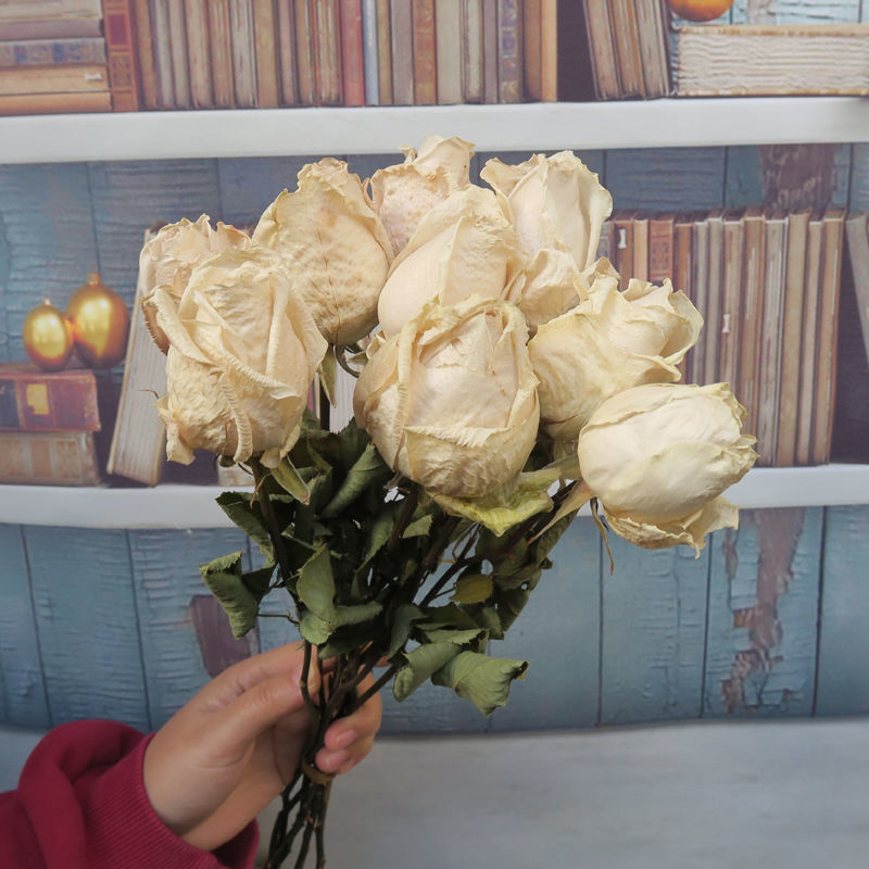 Buchet cu ramuri uscate de trandafiri pentru decor de perete, necolorat