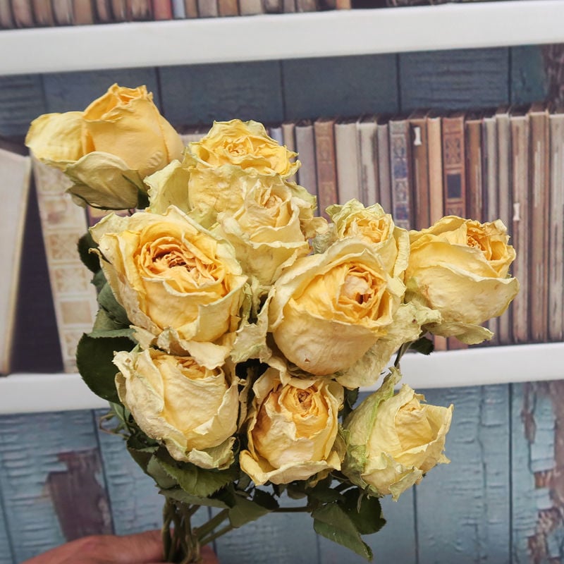 Buchet cu ramuri uscate de trandafiri pentru decor de perete, necolorat