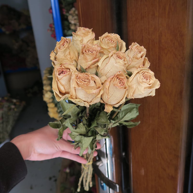 Buchet cu ramuri uscate de trandafiri pentru decor de perete, necolorat