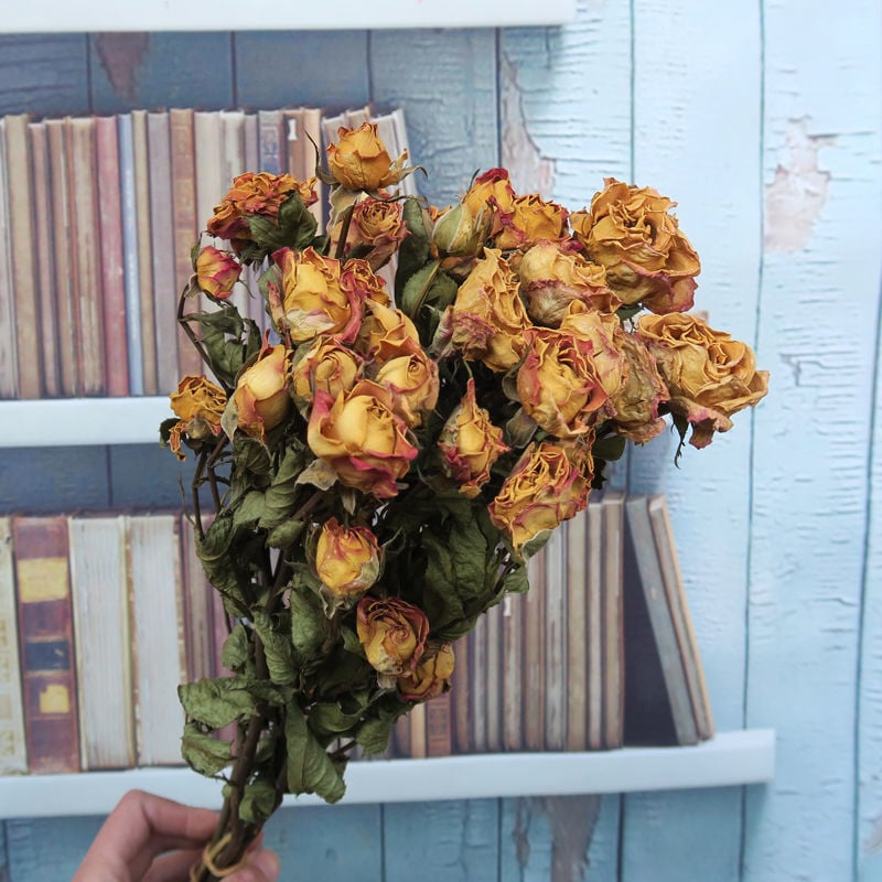 Buchet cu ramuri uscate de trandafiri pentru decor de perete, necolorat