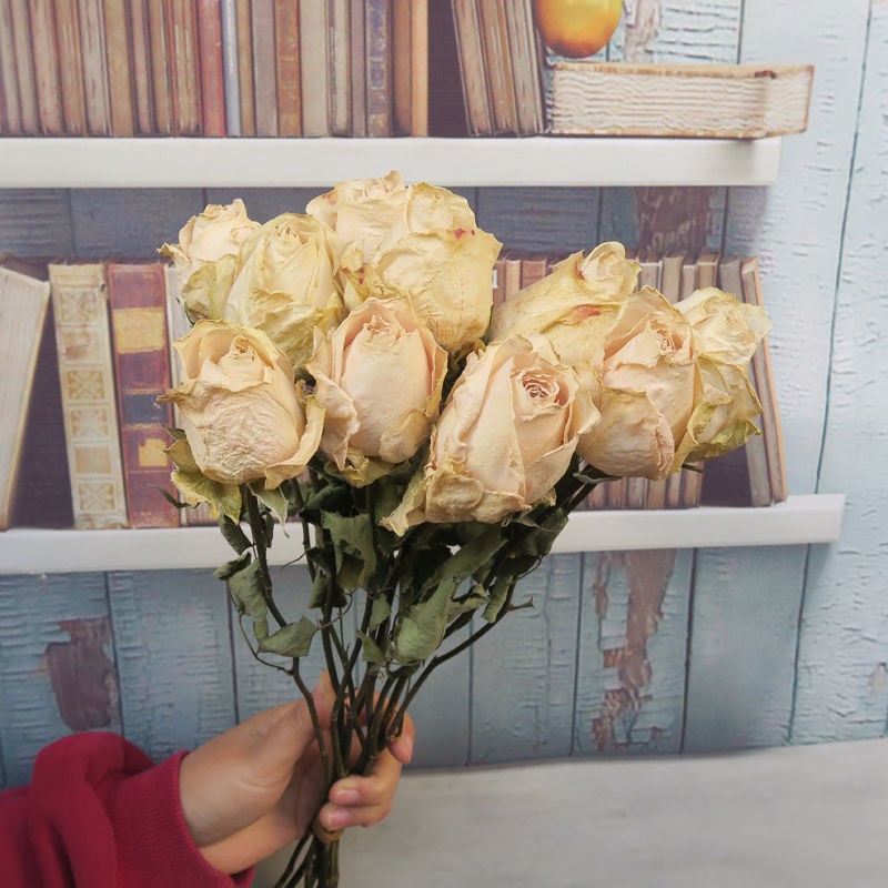 Buchet cu ramuri uscate de trandafiri pentru decor de perete, necolorat