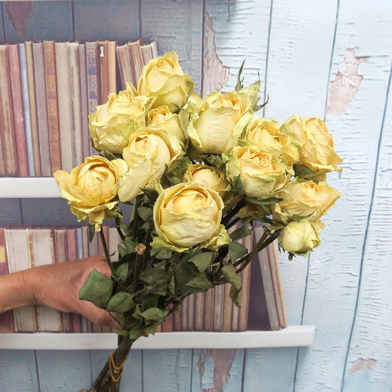 Buchet cu ramuri uscate de trandafiri pentru decor de perete, necolorat