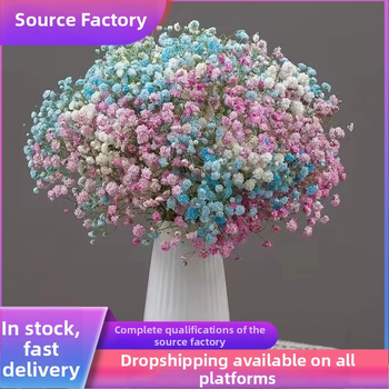 Buchet Starry Sky de flori uscate pentru decorul sufrageriei – Material: flori uscate; Varianta: Starry Sky; Meșteșug: altul