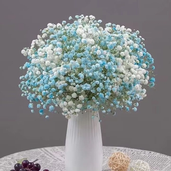 Buchet Starry Sky de flori uscate pentru decorul sufrageriei – Material: flori uscate; Varianta: Starry Sky; Meșteșug: altul