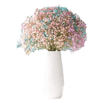 Buchet Starry Sky de flori uscate pentru decorul sufrageriei – Material: flori uscate; Varianta: Starry Sky; Meșteșug: altul