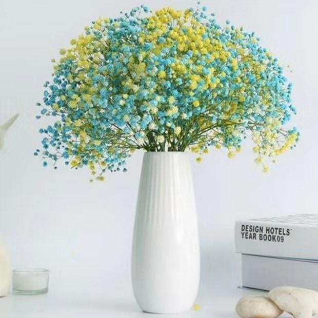 Buchet Starry Sky de flori uscate pentru decorul sufrageriei – Material: flori uscate; Varianta: Starry Sky; Meșteșug: altul