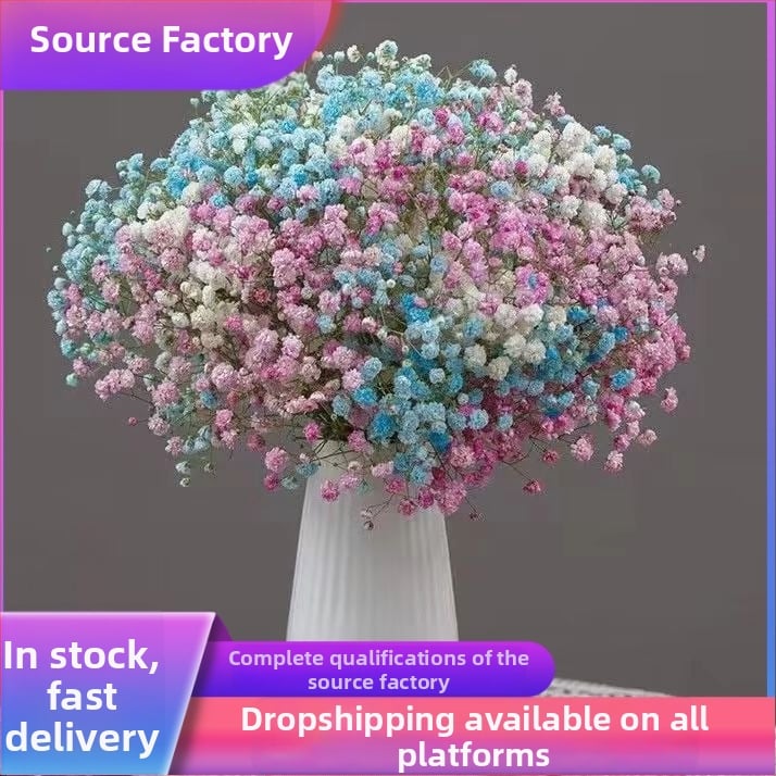 Buchet Starry Sky de flori uscate pentru decorul sufrageriei – Material: flori uscate; Varianta: Starry Sky; Meșteșug: altul